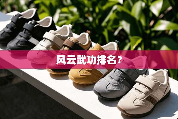 风云武功排名？