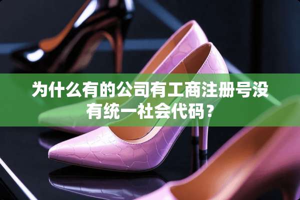为什么有的公司有工商注册号没有统一社会代码？