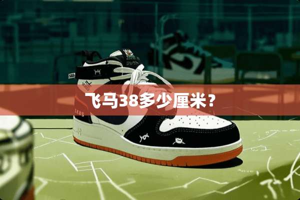 飞马38多少厘米？