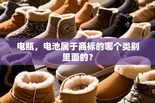 电瓶，电池属于商标的哪个类别里面的？