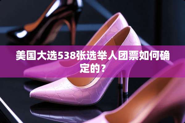 美国大选538张选举人团票如何确定的？