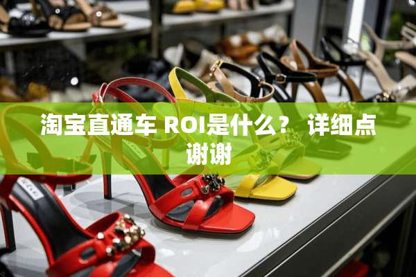 淘宝直通车 ROI是什么？ 详细点谢谢