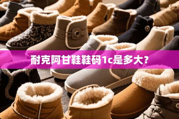 耐克阿甘鞋鞋码1c是多大？