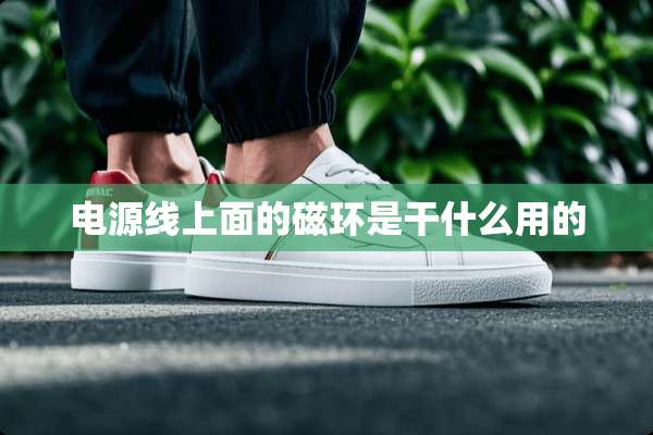 电源线上面的磁环是干什么用的