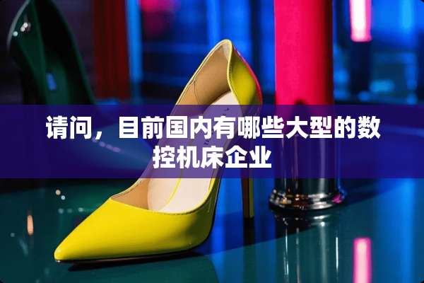 请问，目前国内有哪些大型的数控机床企业
