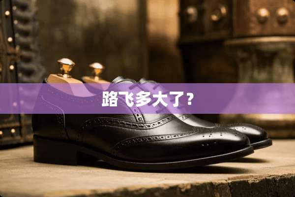 路飞多大了？