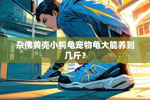 杂佛黄壳小鳄龟宠物龟大能养到几斤？