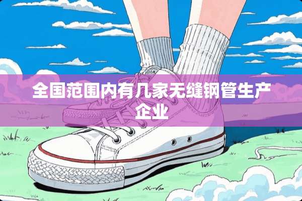 全国范围内有几家无缝钢管生产企业