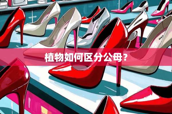 植物如何区分公母？