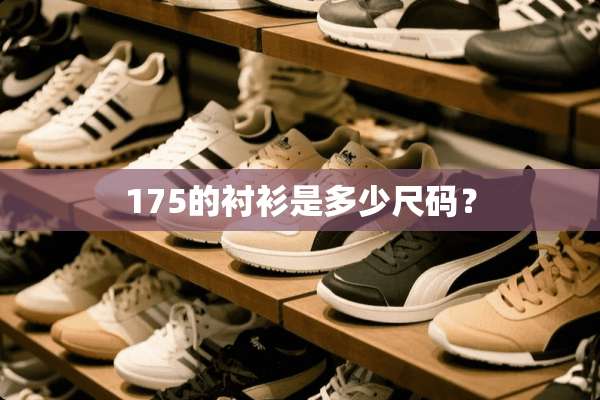 175的衬衫是多少尺码？