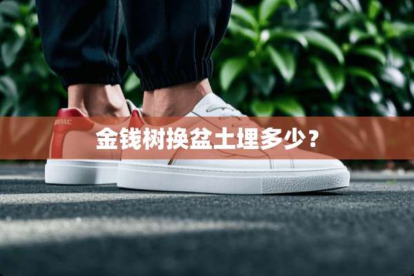 金钱树换盆土埋多少？