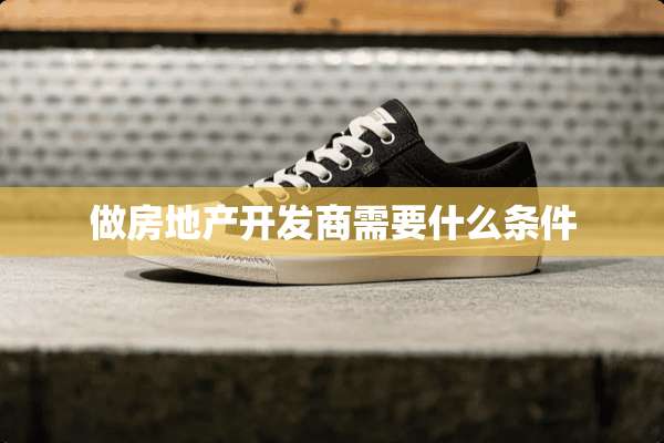 做房地产开发商需要什么条件