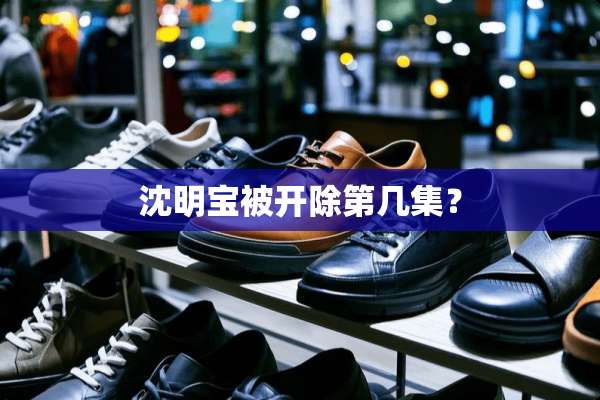 沈明宝被开除第几集？