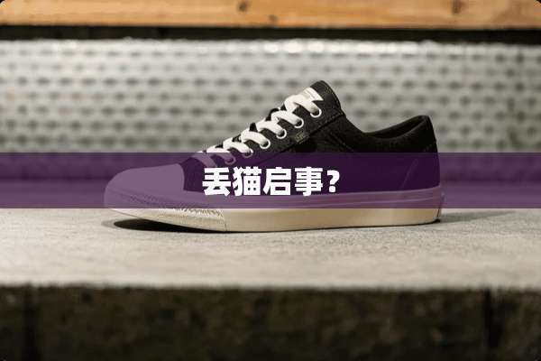 丢猫启事？
