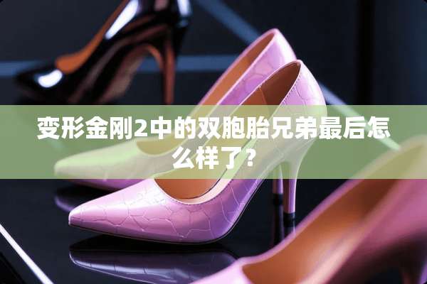 变形金刚2中的双胞胎兄弟最后怎么样了？