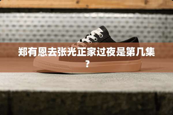 郑有恩去张光正家过夜是第几集？
