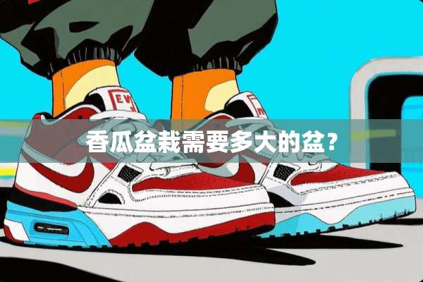 香瓜盆栽需要多大的盆？