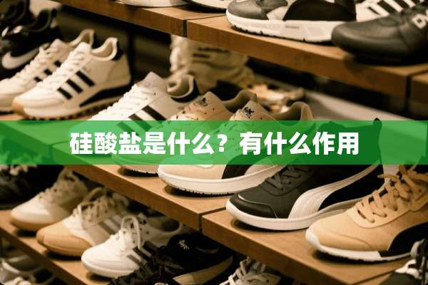 硅酸盐是什么？有什么作用