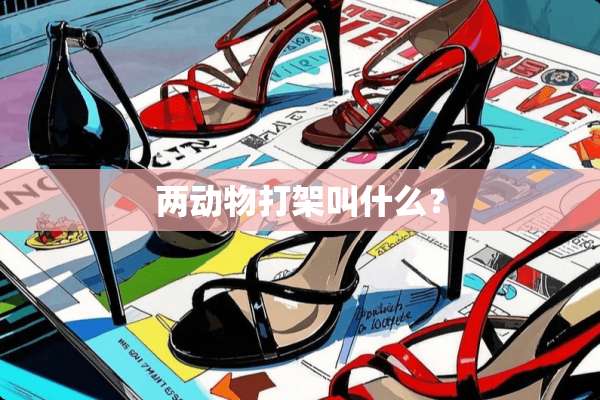 两动物打架叫什么？