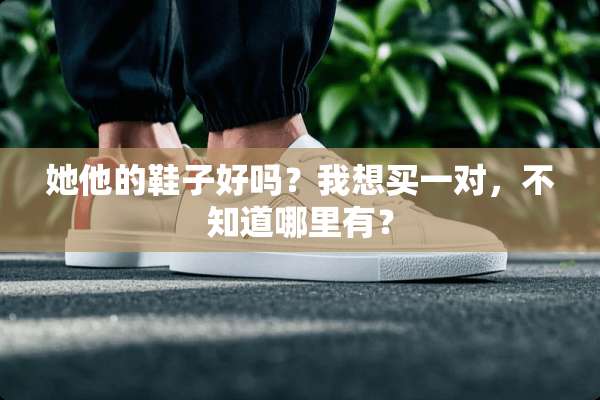 她他的鞋子好吗？我想买一对，不知道哪里有？