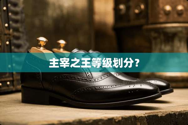 主宰之王等级划分？
