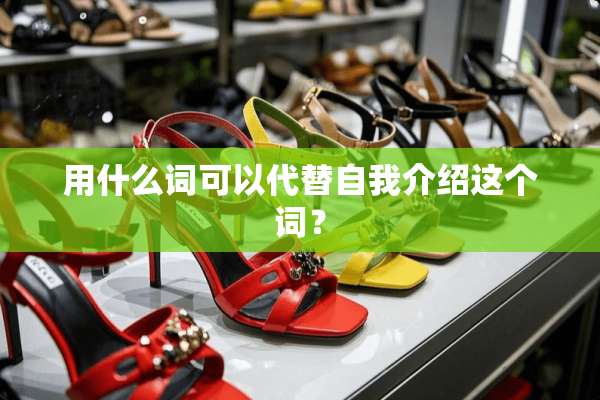 用什么词可以代替自我介绍这个词？