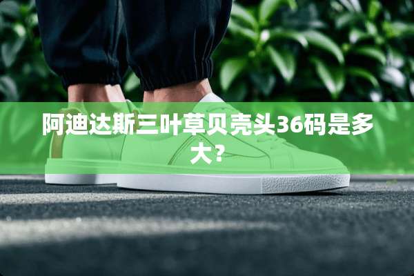 阿迪达斯三叶草贝壳头36码是多大？
