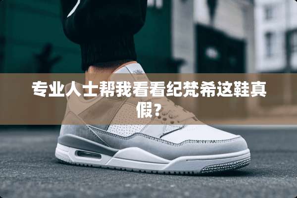 专业人士帮我看看纪梵希这鞋真假？