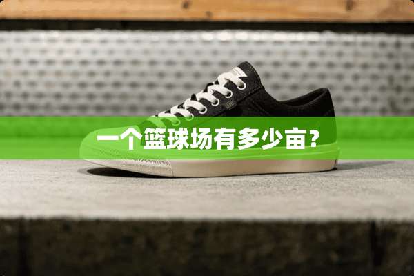 一个篮球场有多少亩？
