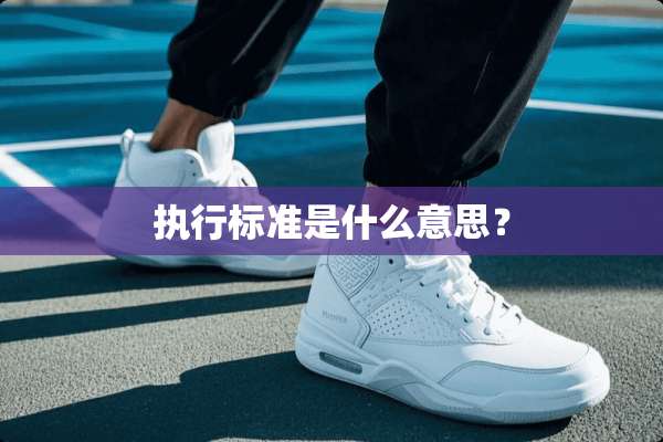 执行标准是什么意思？