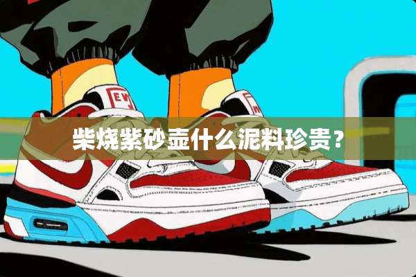柴烧紫砂壶什么泥料珍贵？