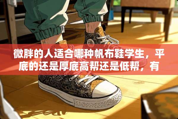 微胖的人适合哪种帆布鞋学生，平底的还是厚底高帮还是低帮，有图吗？