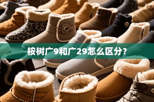 桉树广9和广29怎么区分？