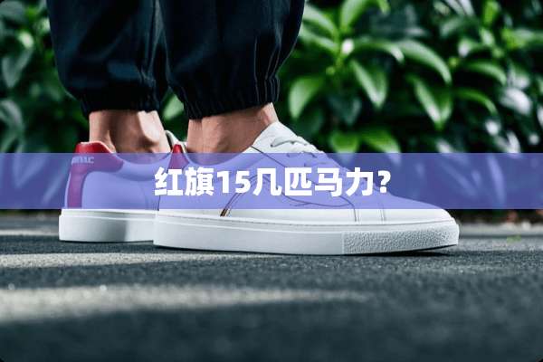 红旗15几匹马力？