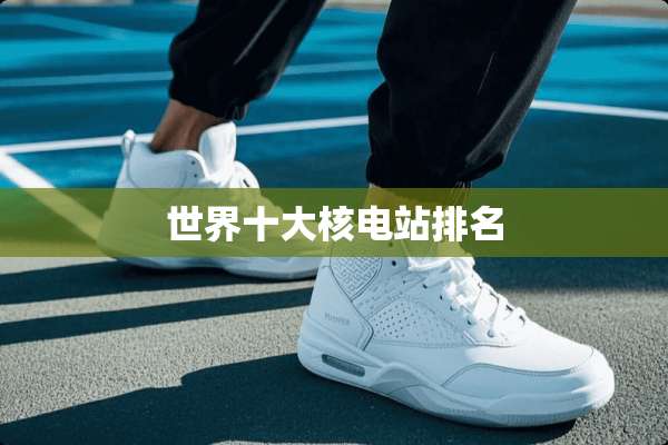 世界十大核电站排名