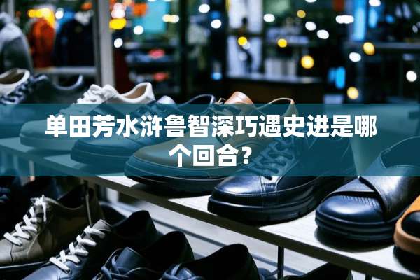 单田芳水浒鲁智深巧遇史进是哪个回合？