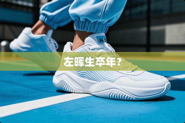 左晖生卒年？