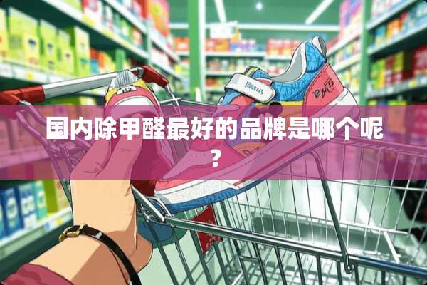 国内除甲醛最好的品牌是哪个呢？