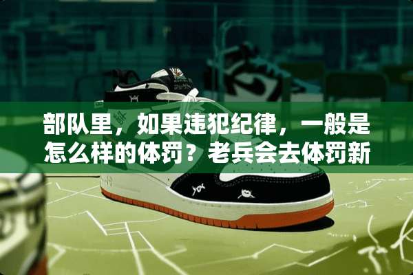 **里，如果违犯纪律，一般是怎么样的体罚？老兵会去体罚新兵？有些好奇
