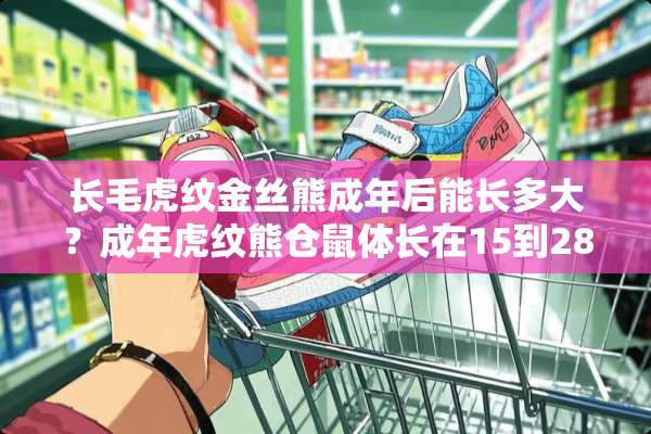 长毛虎纹金丝熊成年后能长多大？成年虎纹熊仓鼠体长在15到28厘米之间