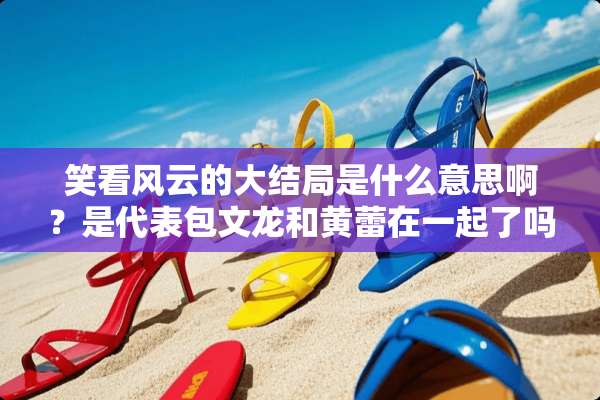 笑看风云的大结局是什么意思啊？是代表包文龙和黄蕾在一起了吗？