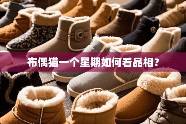 布偶猫一个星期如何看品相？