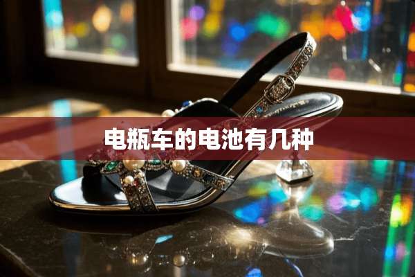 电瓶车的电池有几种