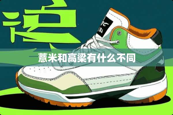 薏米和高梁有什么不同