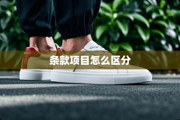 条款项目怎么区分