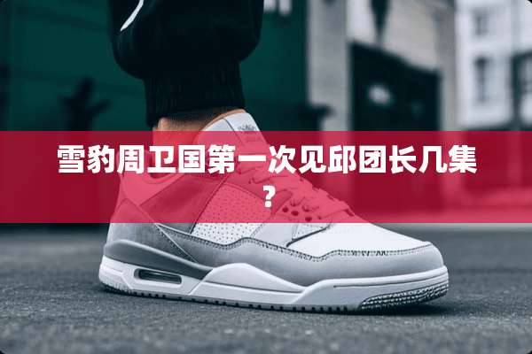 雪豹周卫国第一次见邱团长几集？