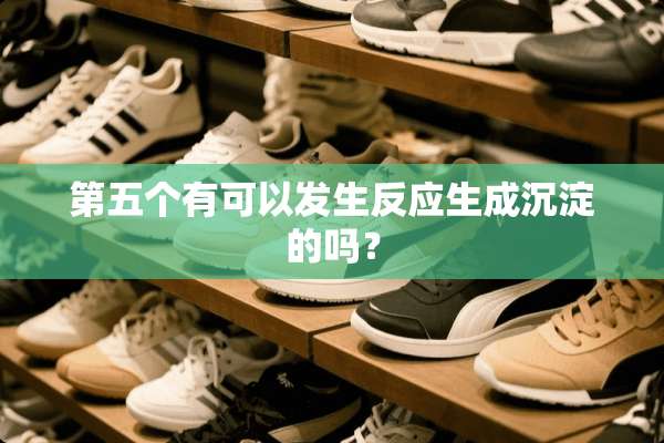 第五个有可以发生反应生成沉淀的吗？