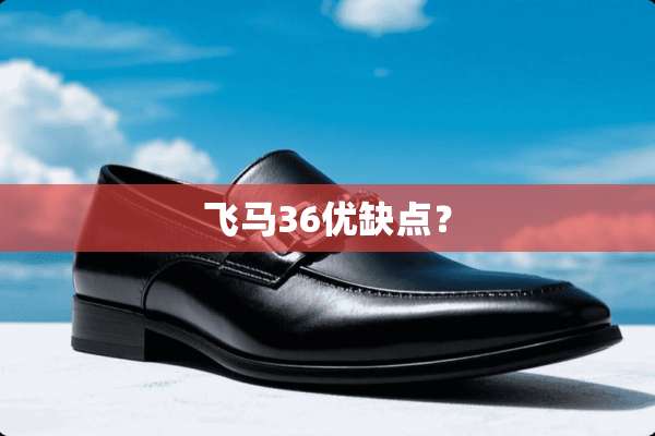 飞马36优缺点？