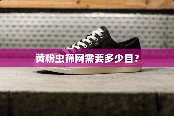 黄粉虫筛网需要多少目？