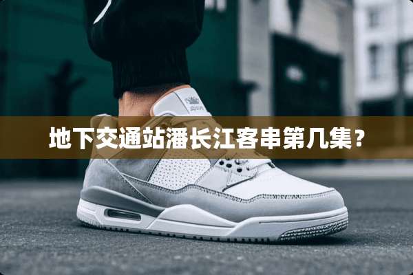 **交通站潘长江客串第几集？